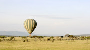 Safari z balónu