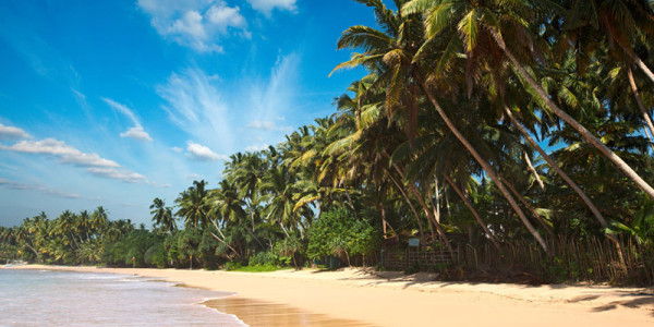 Srí Lanka
Exotická Srílanka
